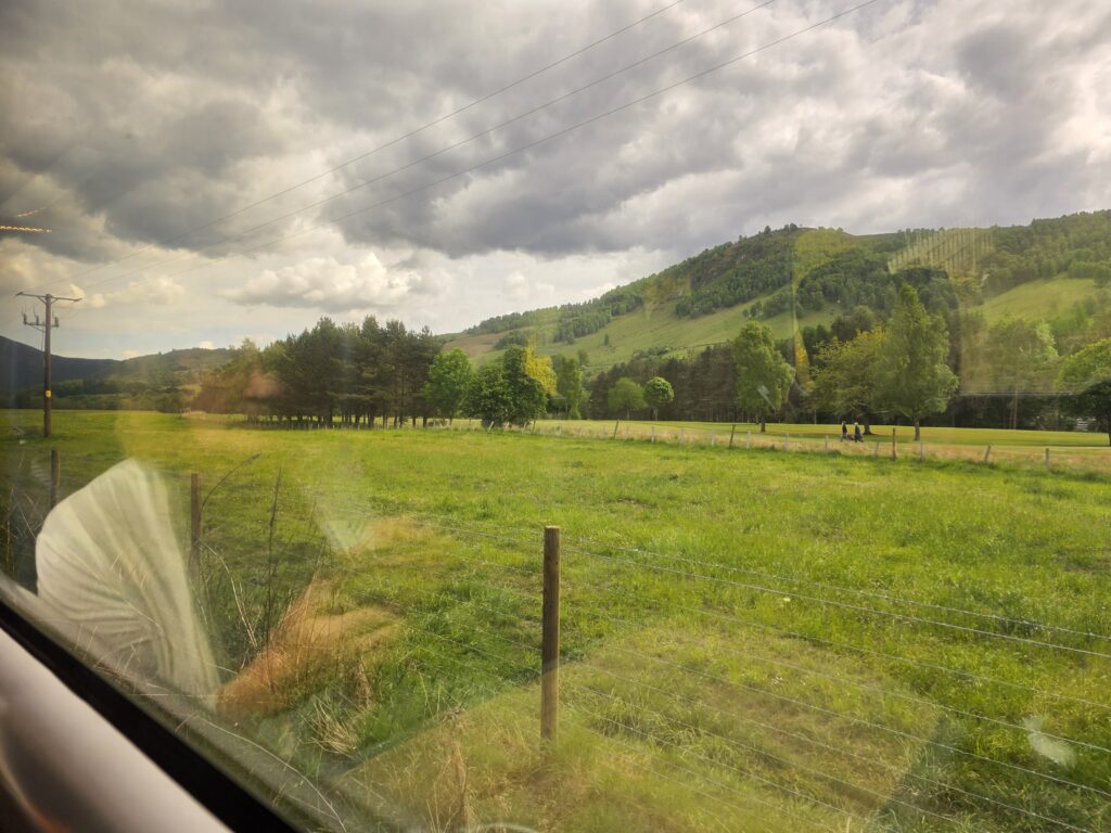 group travel for introverted women